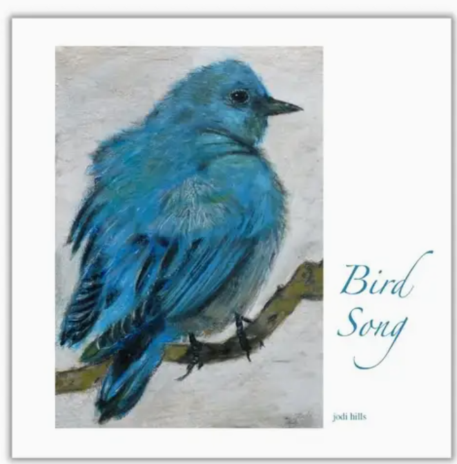 Bird Song Gift Book