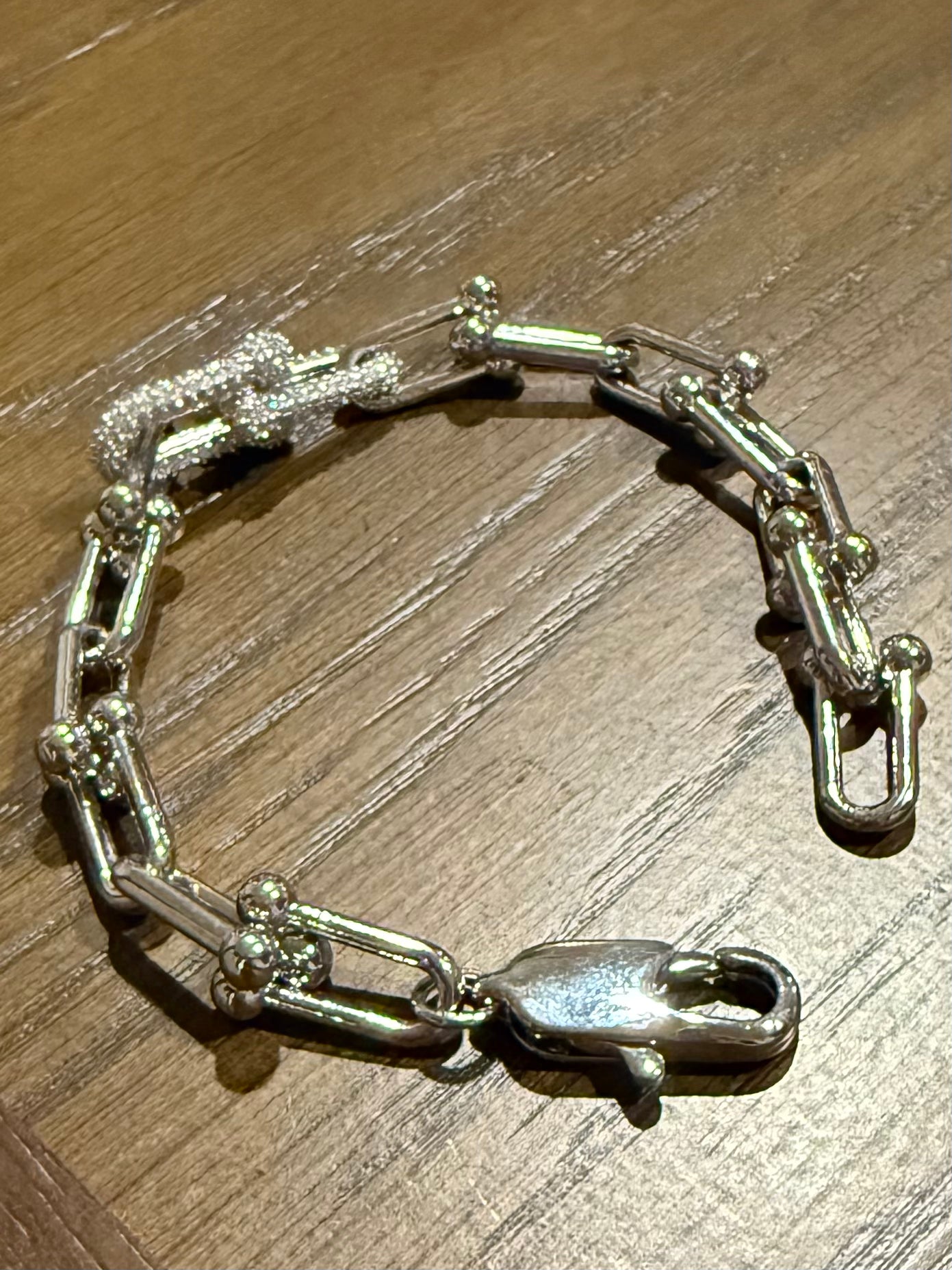 Horse Bit Link Tarnish & Water Resistant Bracelet