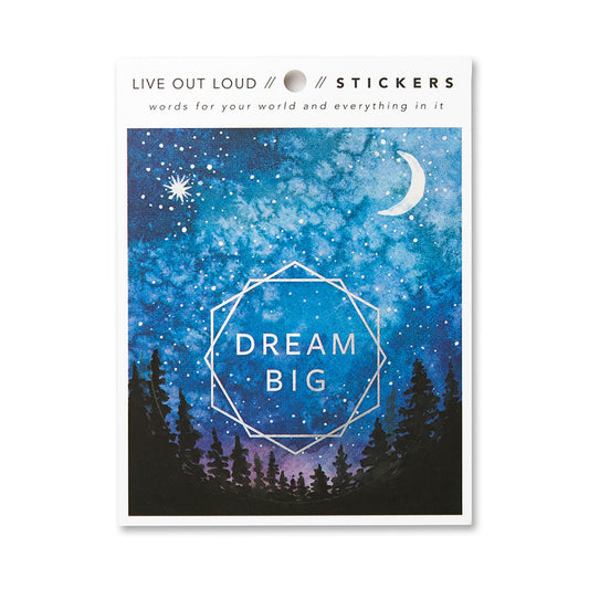 Dream Big Sticker